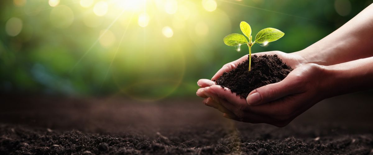 Portsmouth sustainability
